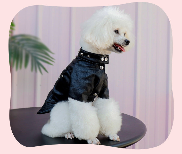Cool Leather Jacket with Studs