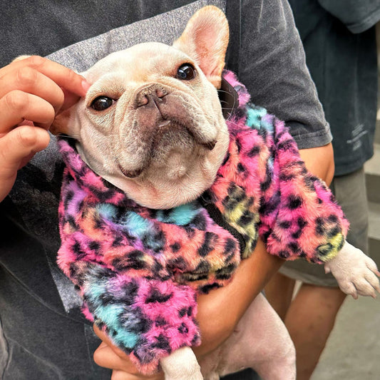 Colourful Leopard Print Velvet Coat