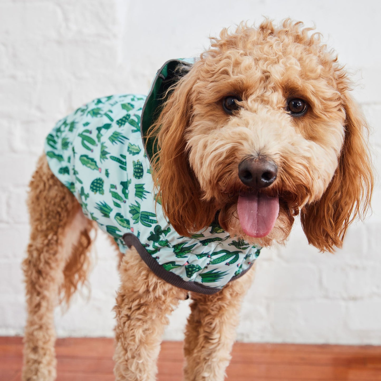 Reversible Elasto-Fit Raincoat - Green