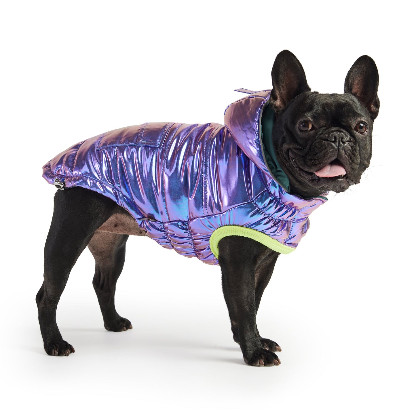 Recycled Puffer Parka - Iridescent