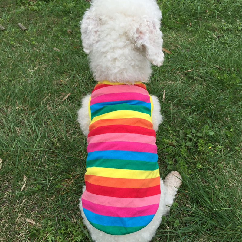 Rainbow Stripe Pet Shirt
