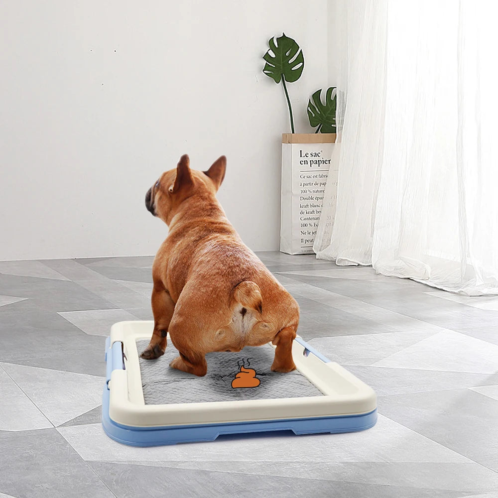 Portable Training Toilet