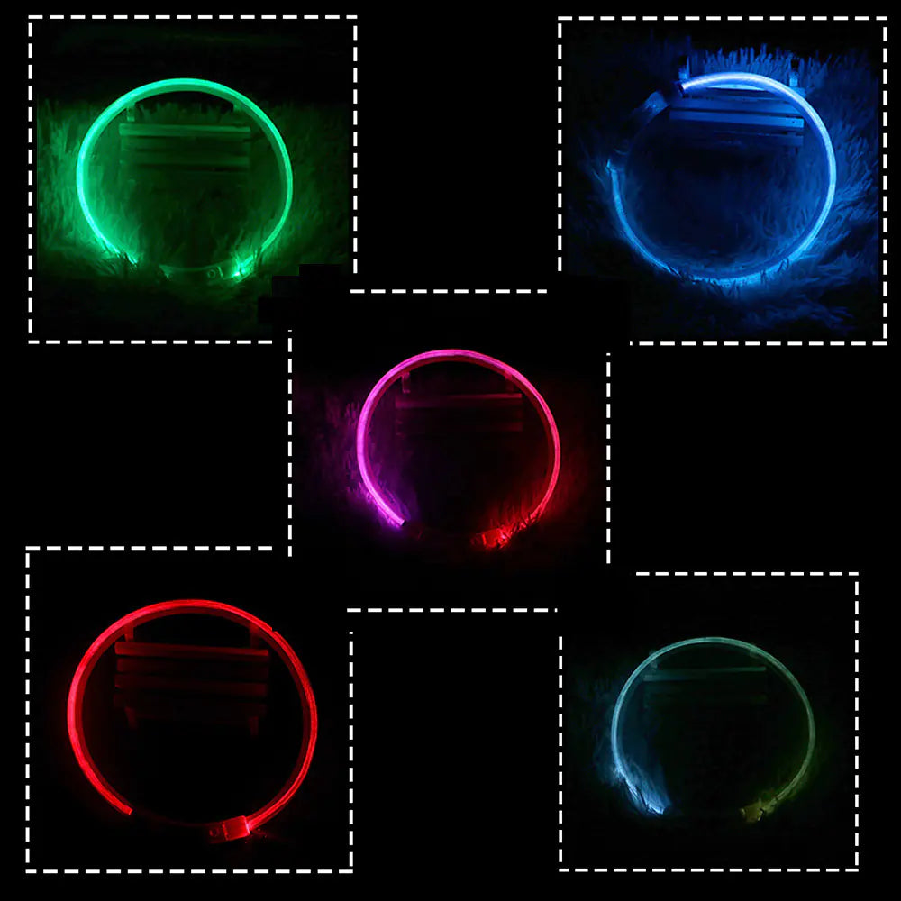 Rechargeable Luminous Collar