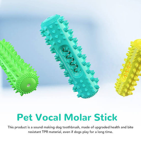 Molar Dental Chew Toy
