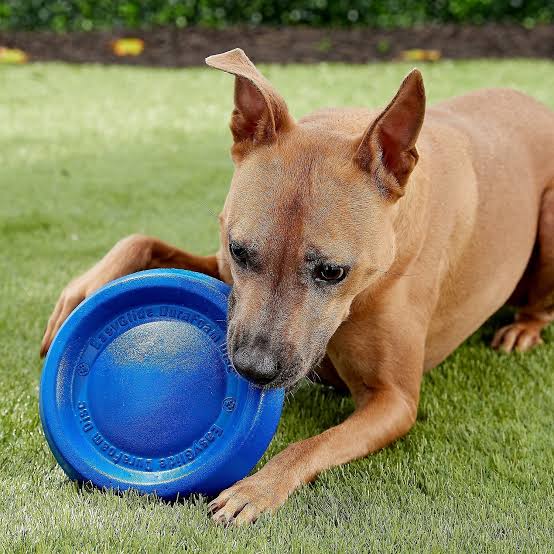 Durafoam Frisbee