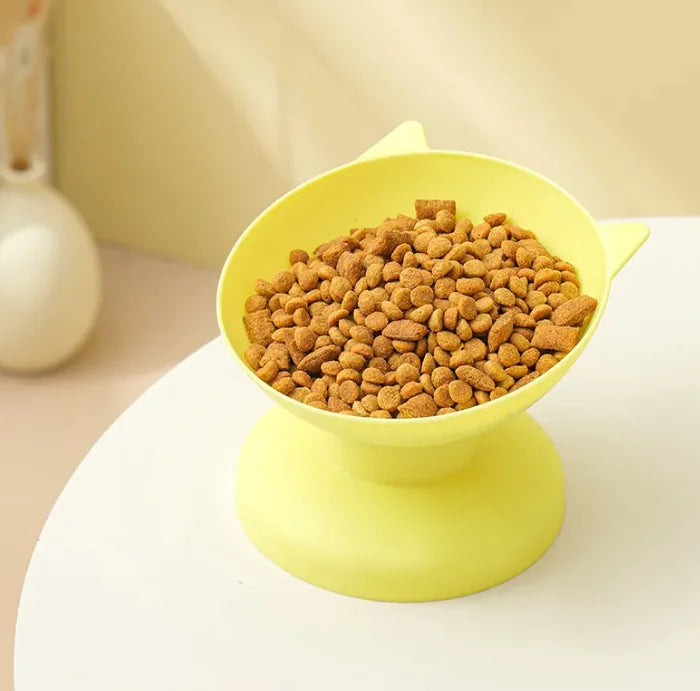 Slanted Food Bowl with Ears