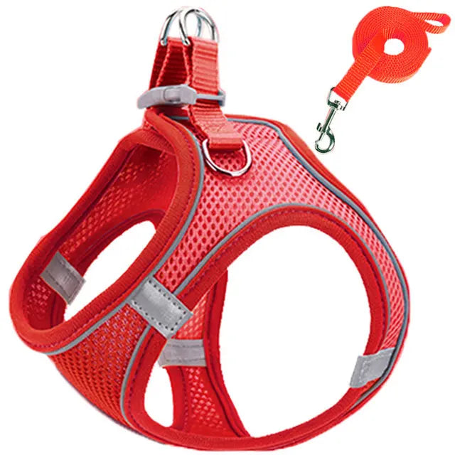 Reflective Harness for Cats and Small Dogs