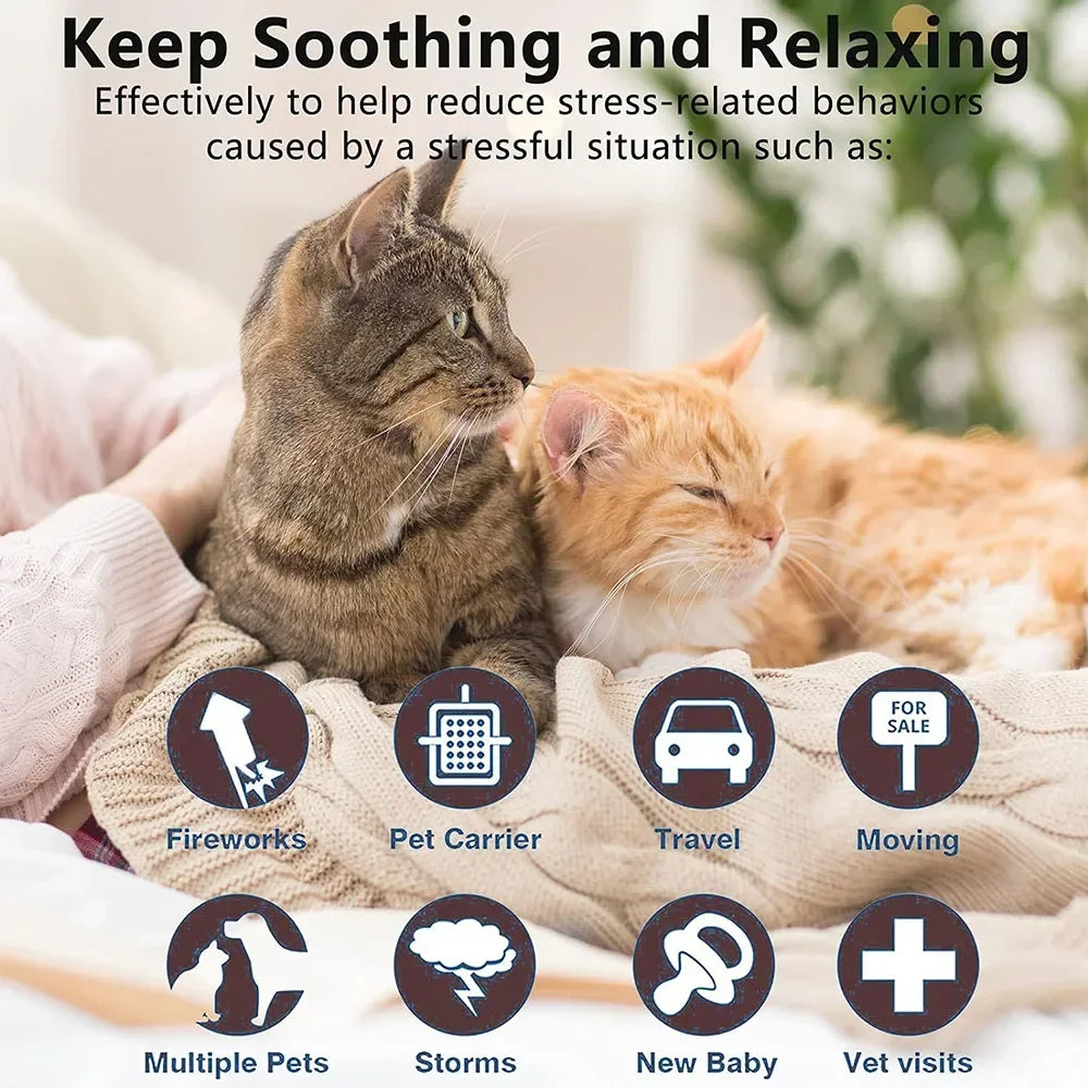 All Natural Calming Collar
