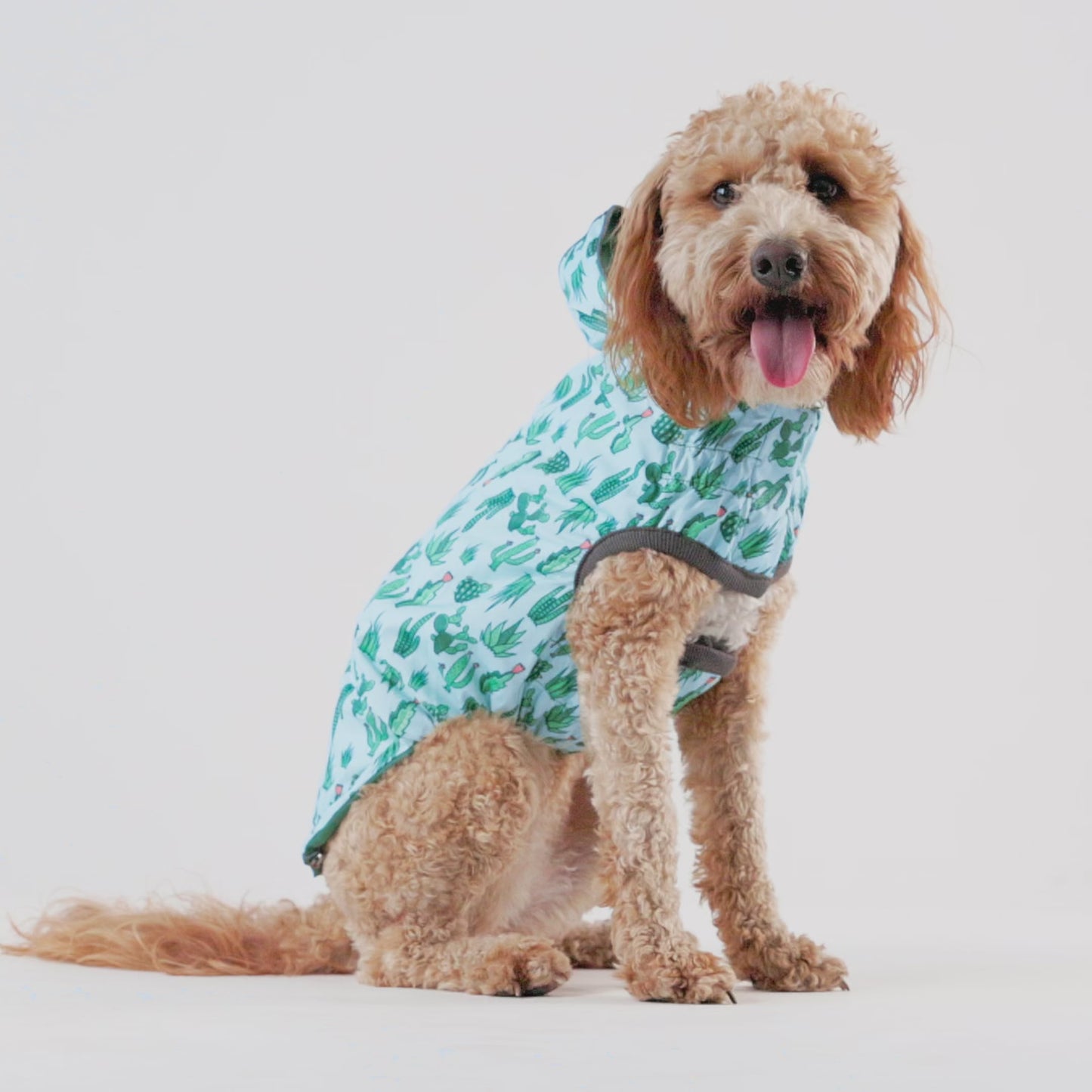 Reversible Elasto-Fit Raincoat - Green