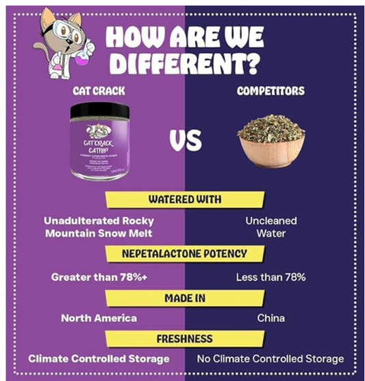 Cat Crack Catnip