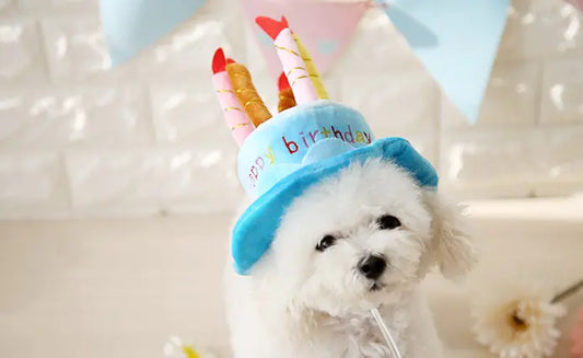 Cute Birthday Cake Hat