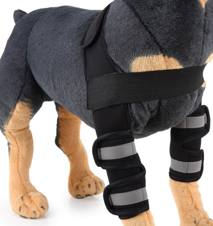 Front Leg Protective Sleeve Brace