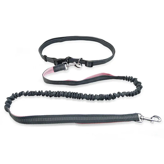 Hands Free Belt Leash for Running