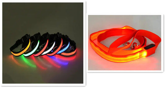 LED Fluorescent Dog Leash & Collar