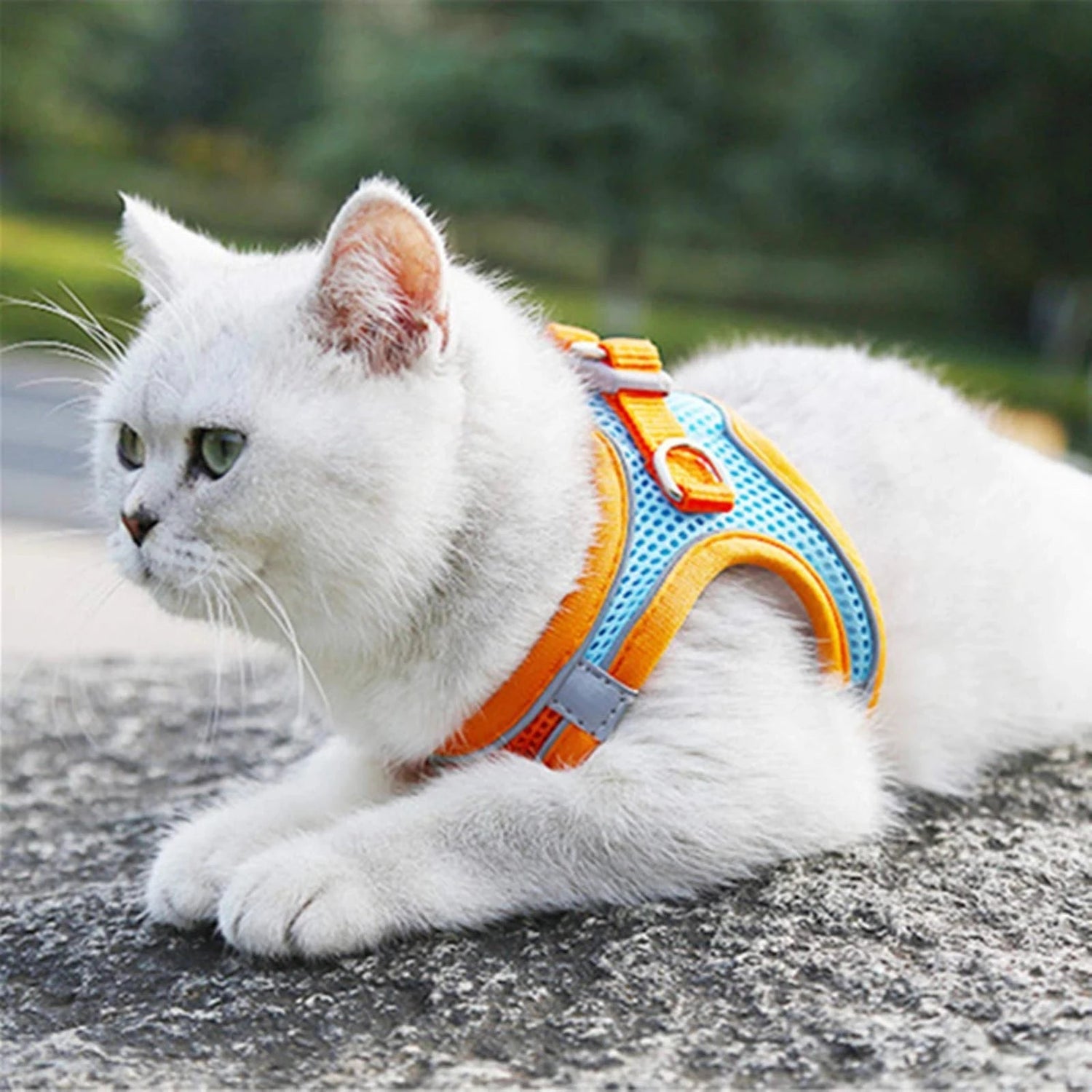 Harnesses