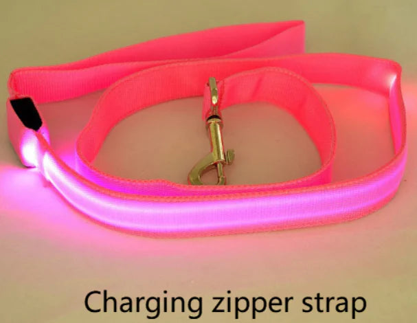 LED Fluorescent Dog Leash & Collar