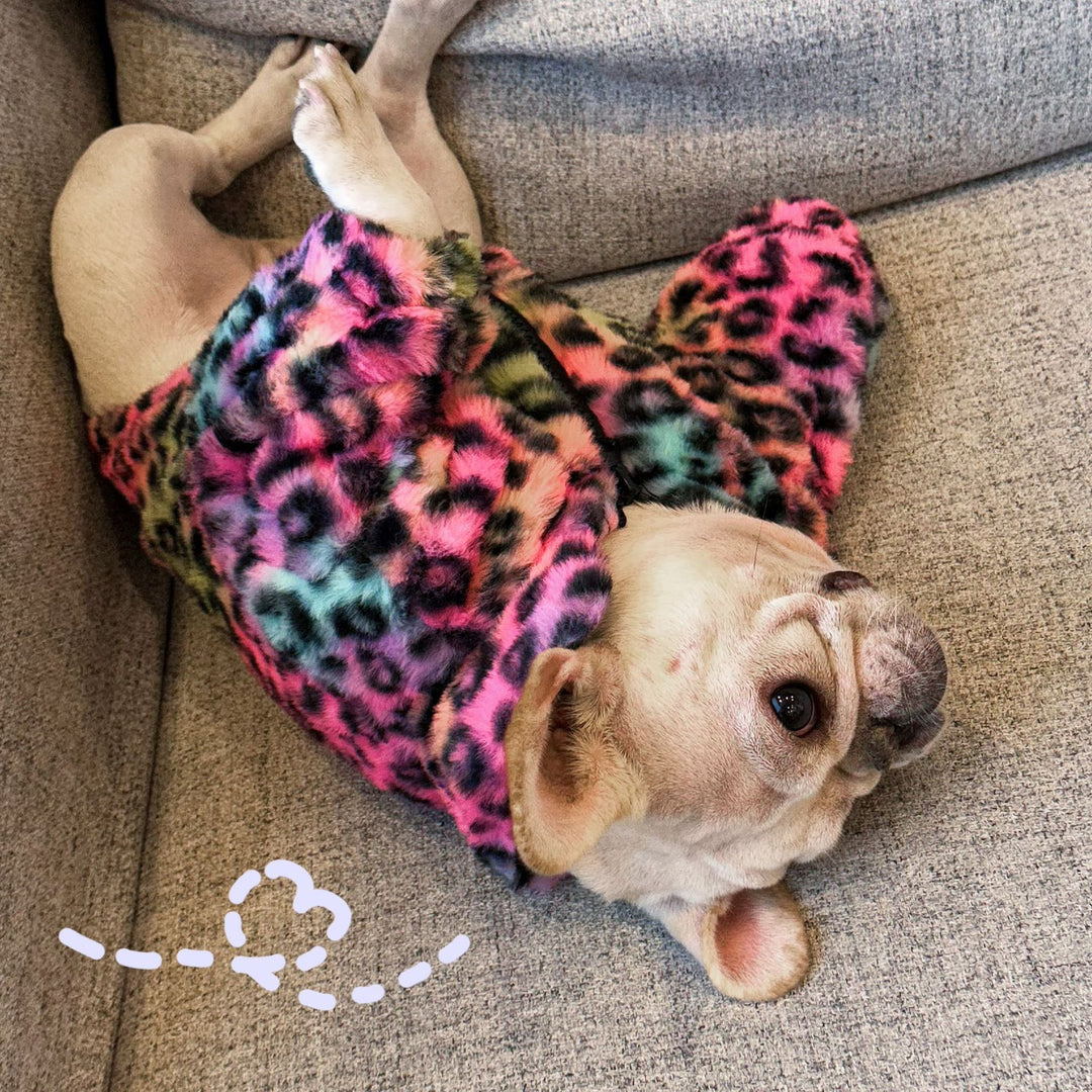 Colourful Leopard Print Velvet Coat