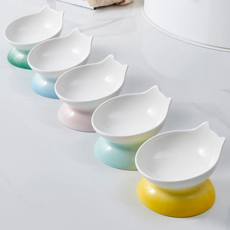 Ceramic Elevated Cat Bowl