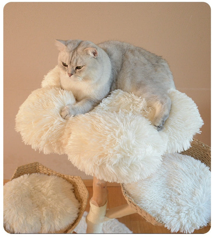 Multi Level Cloud Cat Tree