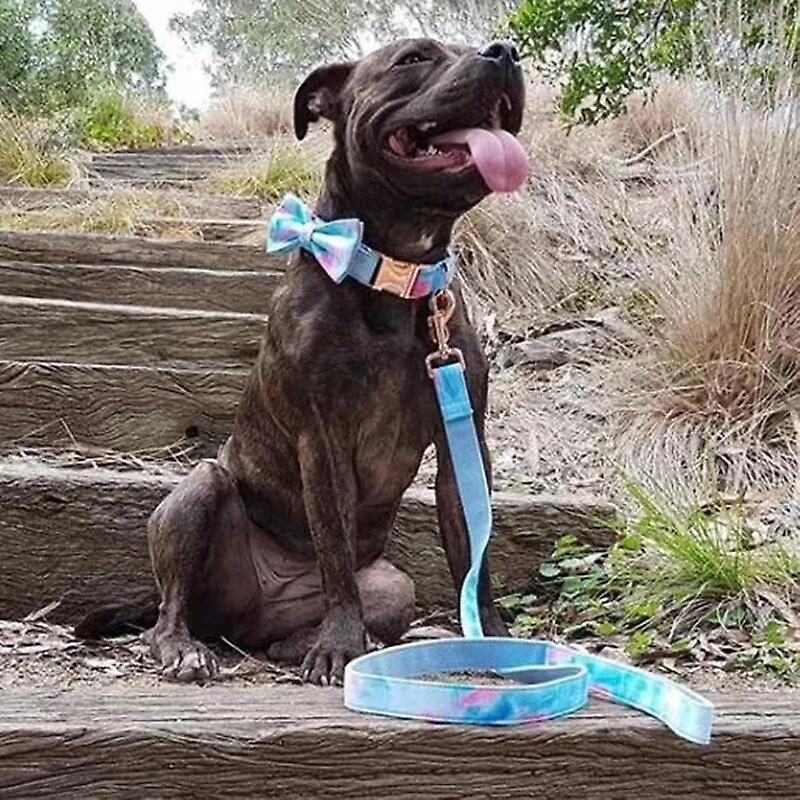 Sky Blue & Pink Collar and Leash Set