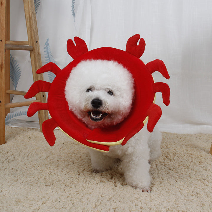 Fun Soft Protective Collar