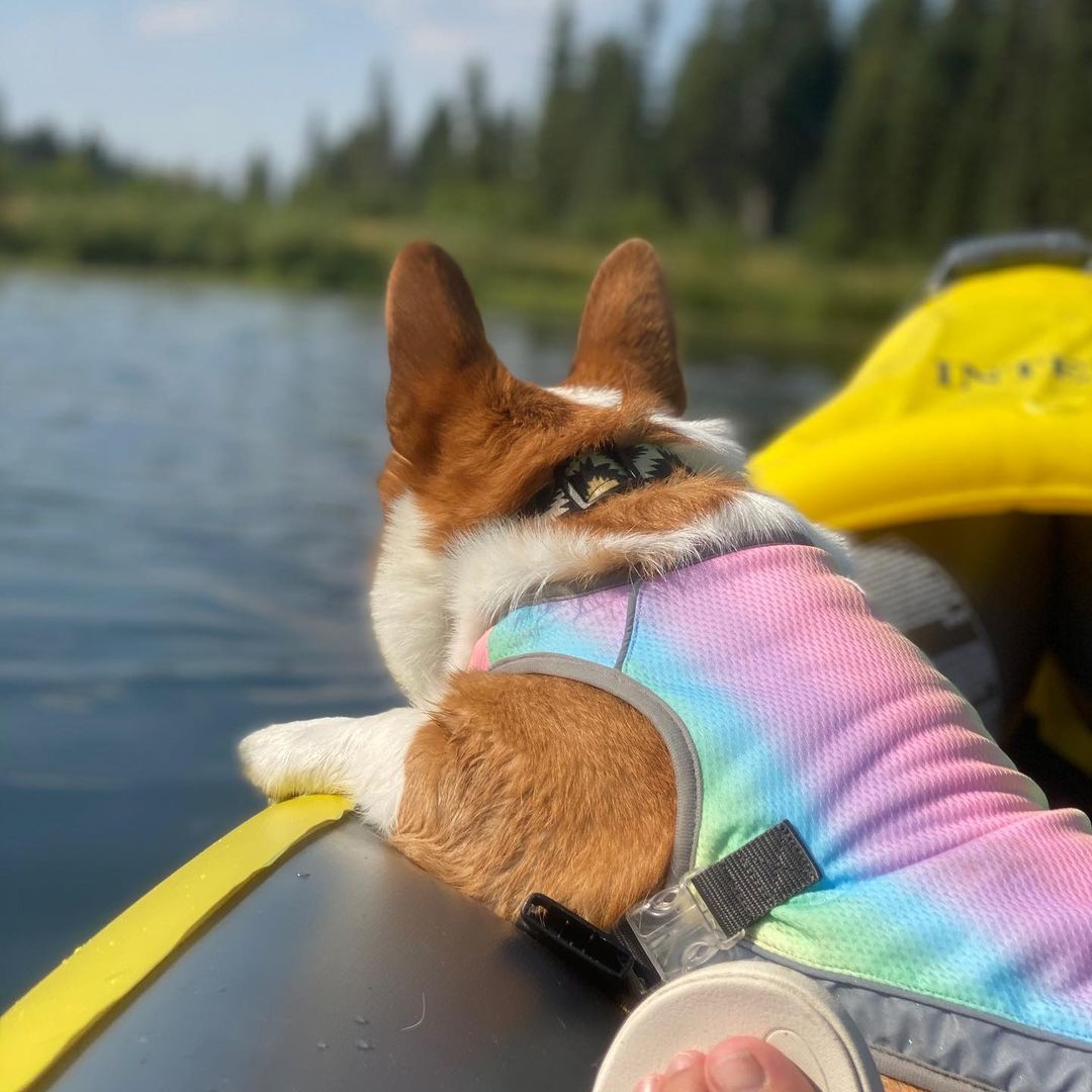 Summer Cooling Vest