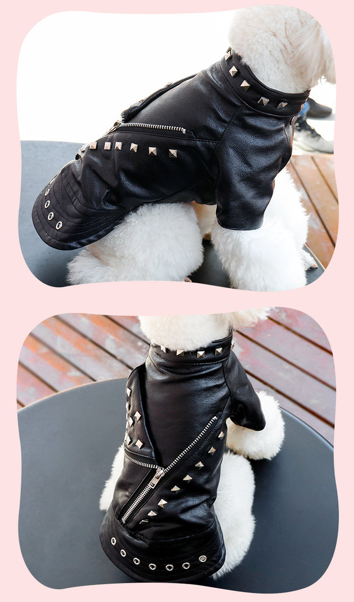 Cool Leather Jacket with Studs