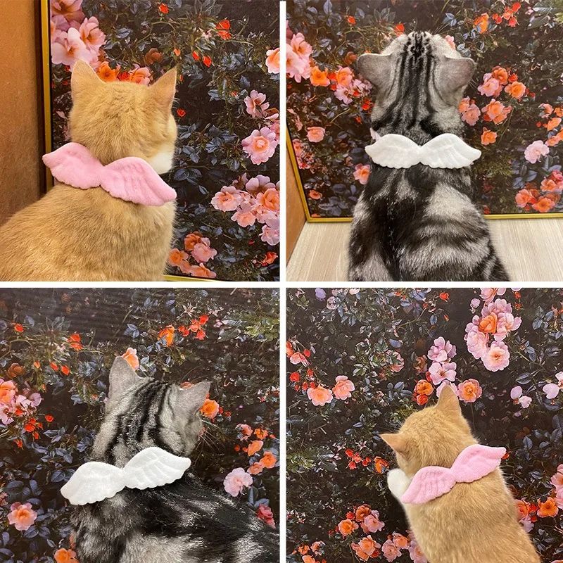 Angel Wings Pet Collar