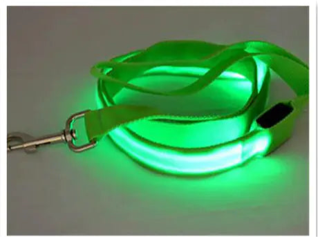 LED Fluorescent Dog Leash & Collar