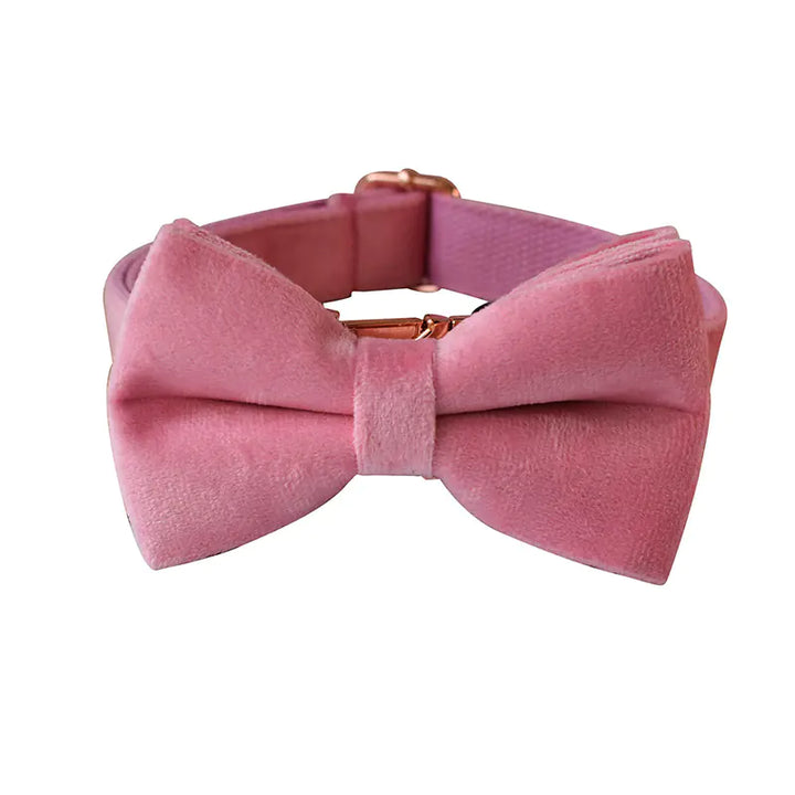 Pink Velvet Collar Bow and Leash Set