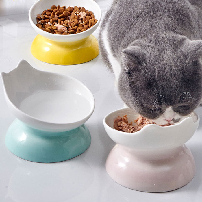 Ceramic Elevated Cat Bowl