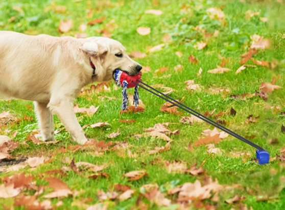 Strong Outdoor Chew Rope Pull Toy