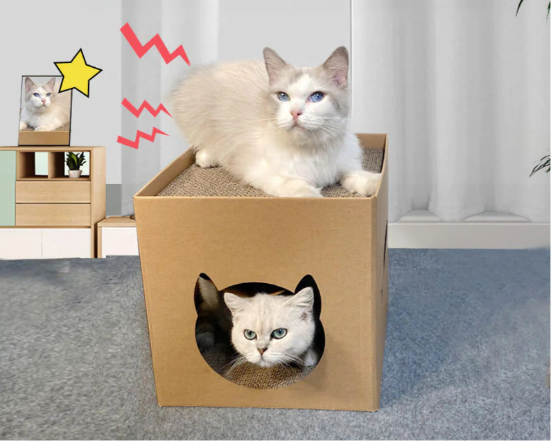 Vertical Cat Scratching Post with Paper House