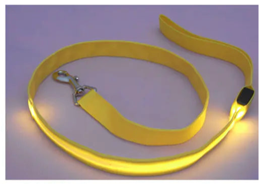 LED Fluorescent Dog Leash & Collar