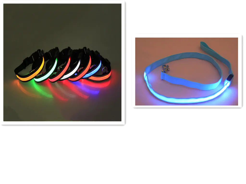 LED Fluorescent Dog Leash & Collar