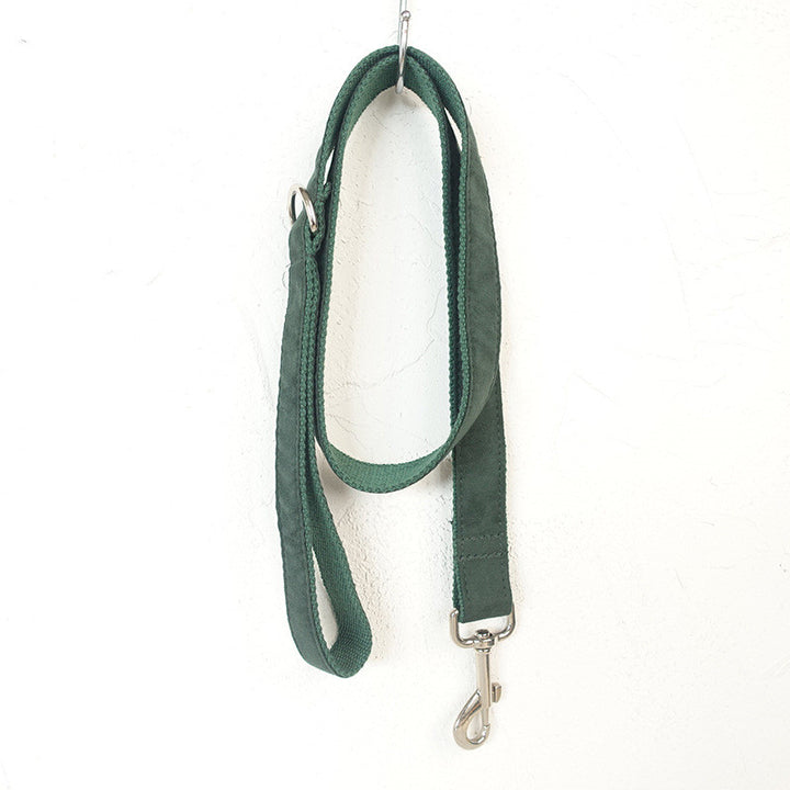 Green Collar, Bow and Leash Set