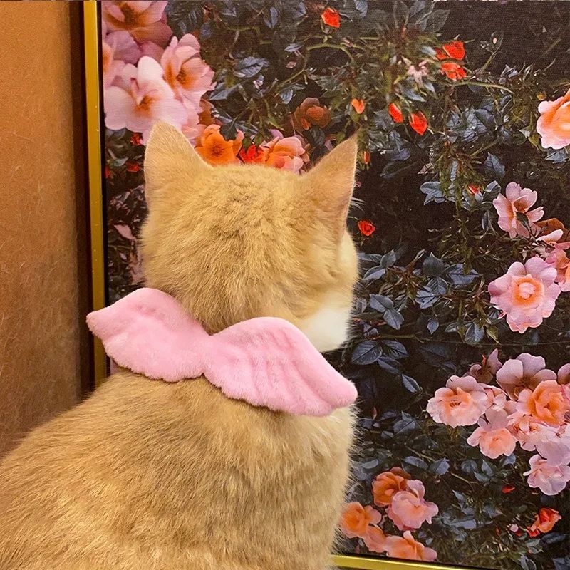 Angel Wings Pet Collar