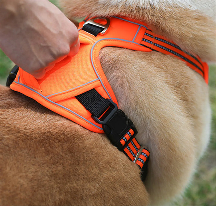Waterproof Reflective Harness with Handle