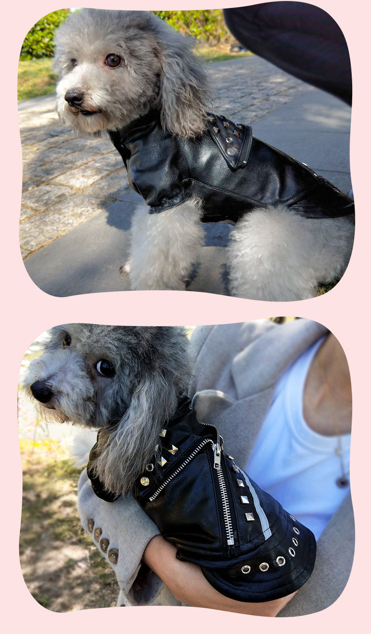 Cool Leather Jacket with Studs