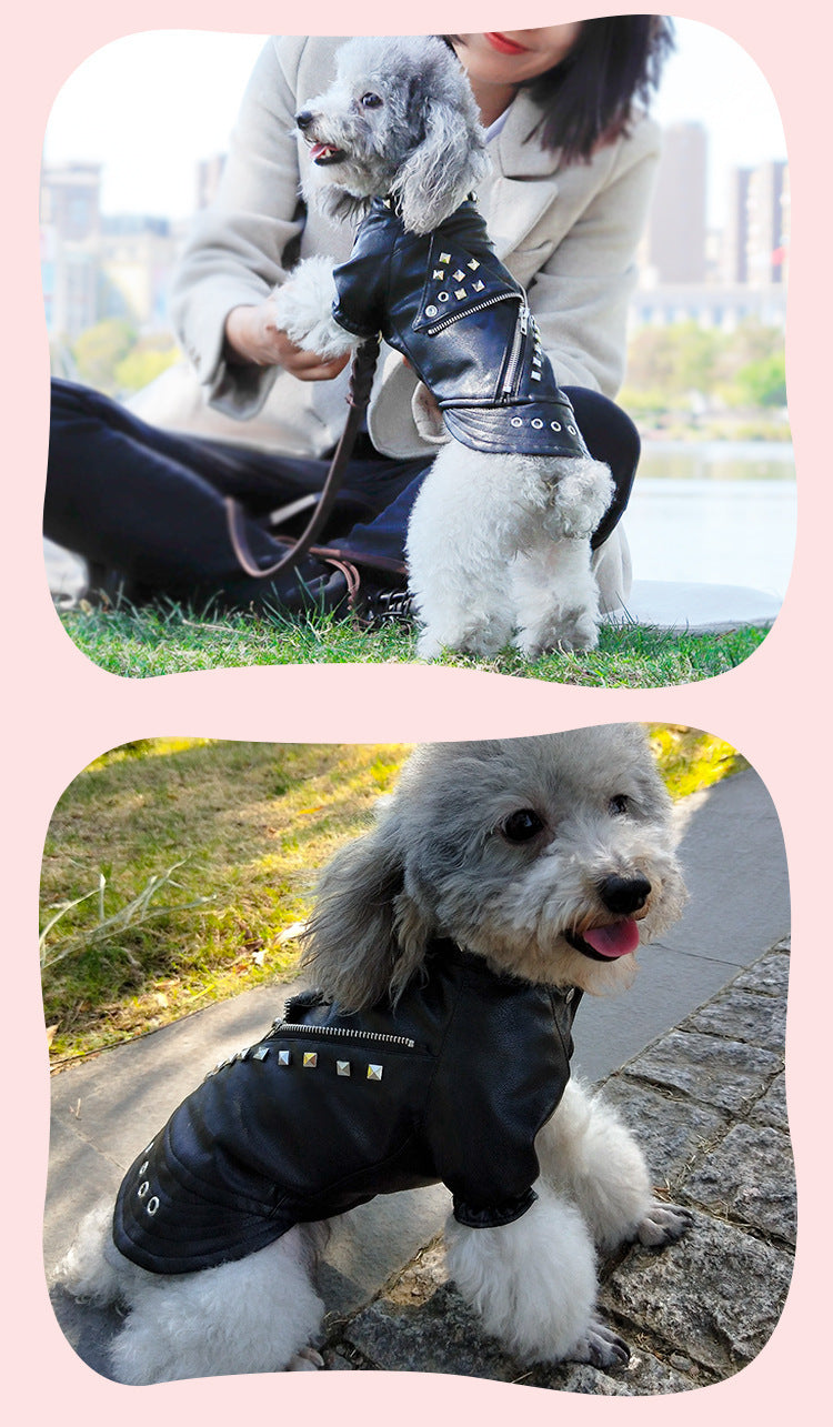 Cool Leather Jacket with Studs