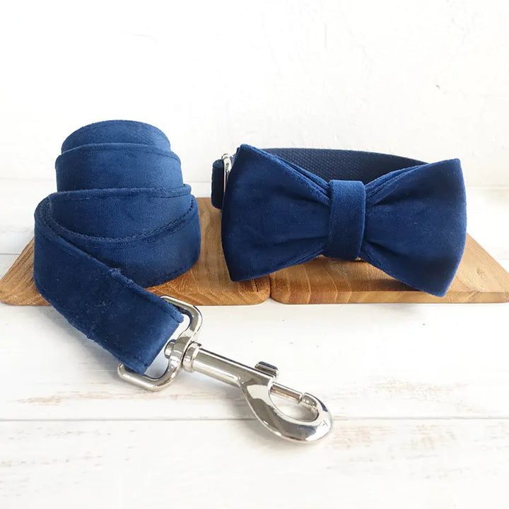 Blue Velvet Bow, Collar & Leash Set