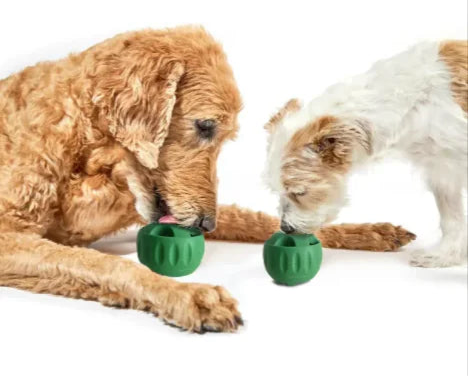 Slow Feeder Ball and Tray