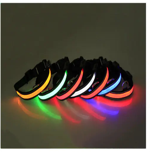 LED Fluorescent Dog Leash & Collar