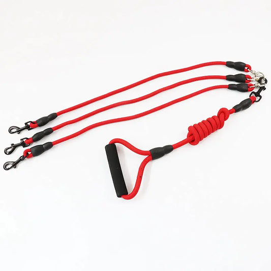 Three Dogs Leash