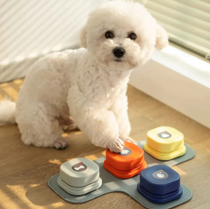 Square Pet Communication Buttons
