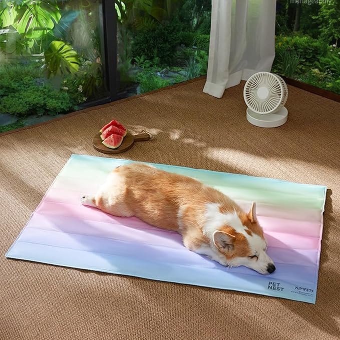 Rainbow Pet Ice Mat