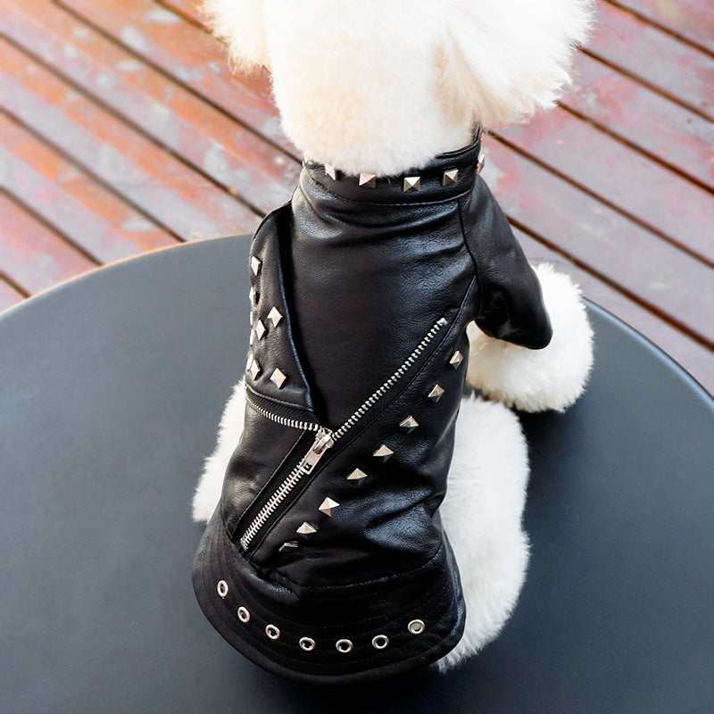 Cool Leather Jacket with Studs