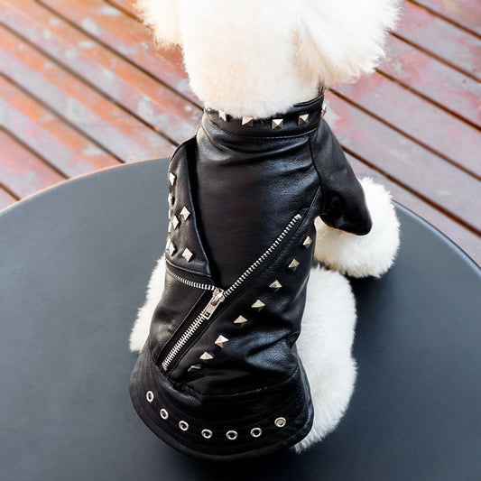 Cool Leather Jacket with Studs