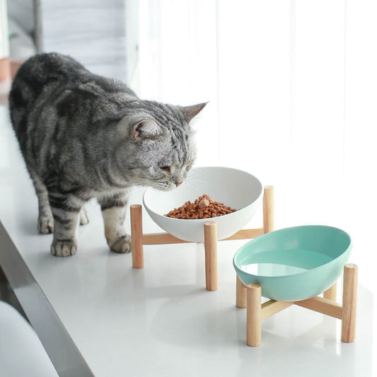Ceramic Bowl with Bamboo Stand