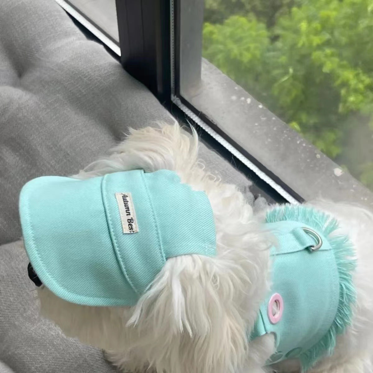 Candy Colour Denim Vest, Leash & Hat